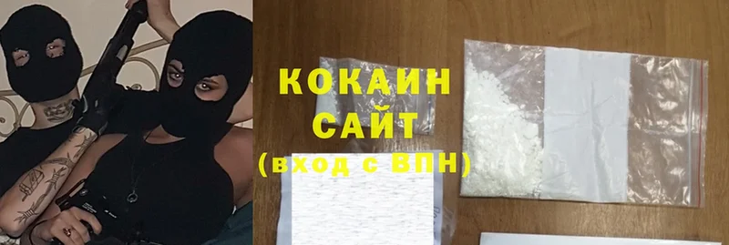 КОКАИН Fish Scale  купить закладку  Орлов 